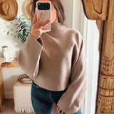 Mocha Mock Neck Dolman Sleeve Knit Sweater